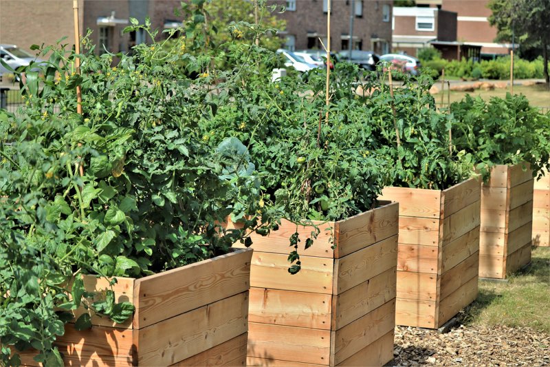 Figure 3 Growing vegetables in deep raised beds The thing you must grasp is - photo 4