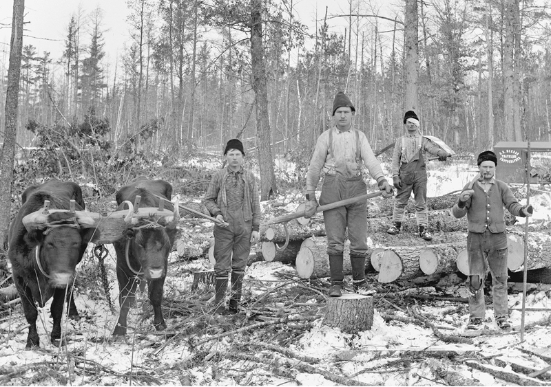 Ive always enjoyed stories and images of lumberjacks like this one taken by - photo 3