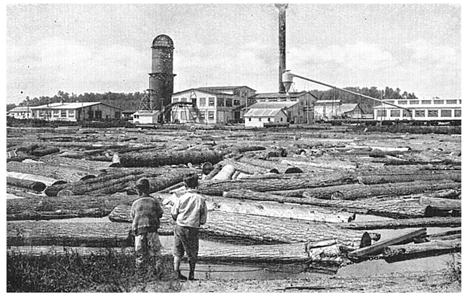 A postcard view of the Menominee Indian Reservations sawmill at Neopit WHI - photo 4