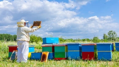 Beekeeping for Beginners The Beekeepers Guide to learn how to Build your Successful Beehives from Scratch - photo 7