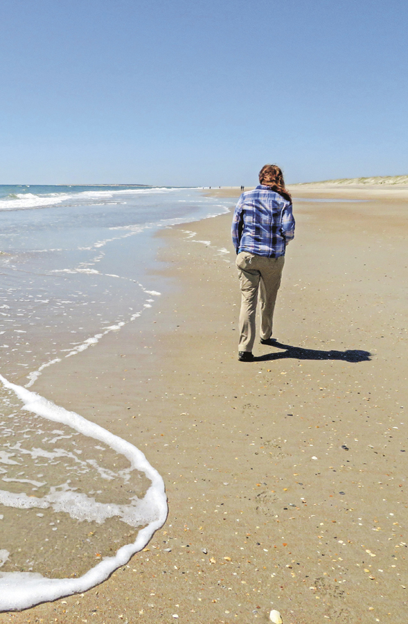 Hiking North Carolinas State Parks The Best Trail Adventures from the - photo 2