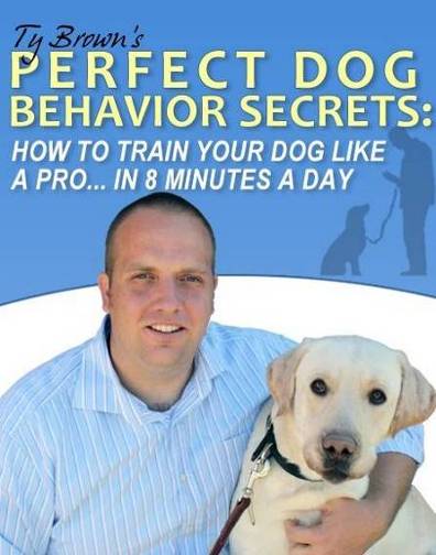 Perfect Dog Behavior Secrets How To Train Your Dog Like APro In 8 - photo 1