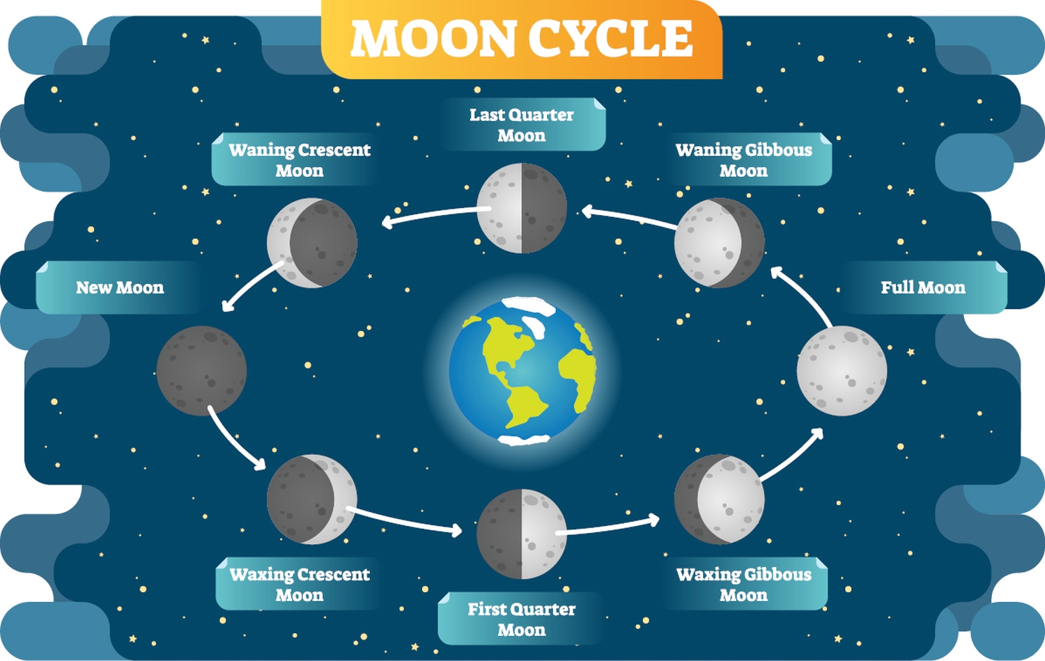 The moon goes through many phases as it orbits Earth Moon Shapes People on - photo 9