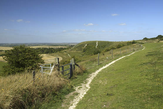 Looking north along the crest of the Dunstable Downs to the summit above - photo 9