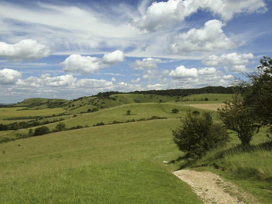 Looking north from Pitstone Hill Walk 6 to Steps Hill straight ahead and - photo 8