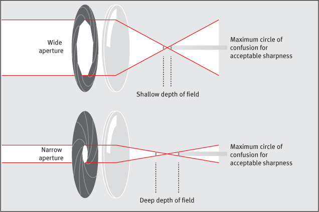 As a result of the size of the circle of confusion the wider the aperture the - photo 5