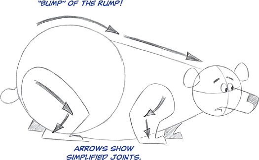 The back is not parallel to the ground but slopes down Fur Diagram This - photo 11