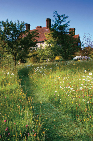 Summer gives permission for wide swaths of meadow flowers and grasses to party - photo 6