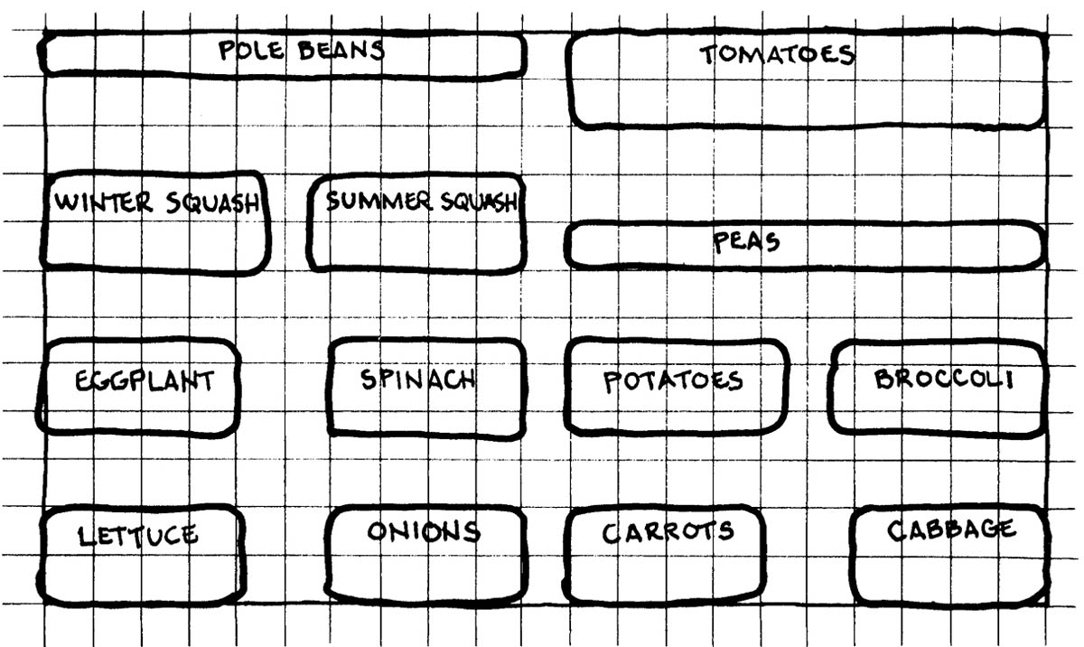 It is particularly important to plan flower gardens on paper if you interplant - photo 3