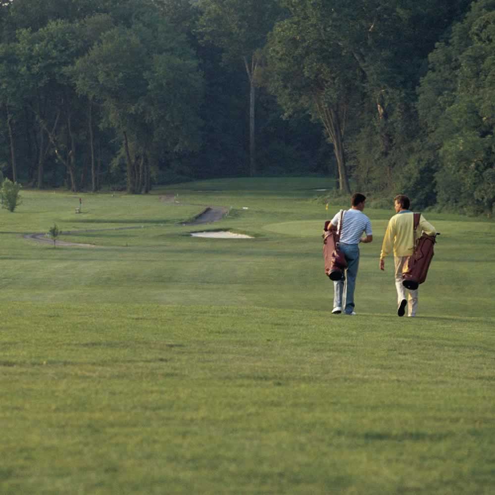 Golf Lessons I Learned While Looking for My Ball - photo 7