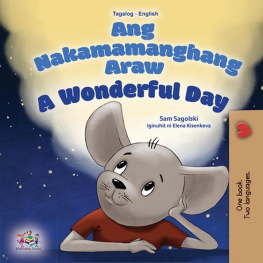 Sam Sagolski - Ang Nakamamanghang Araw a Wonderful Day