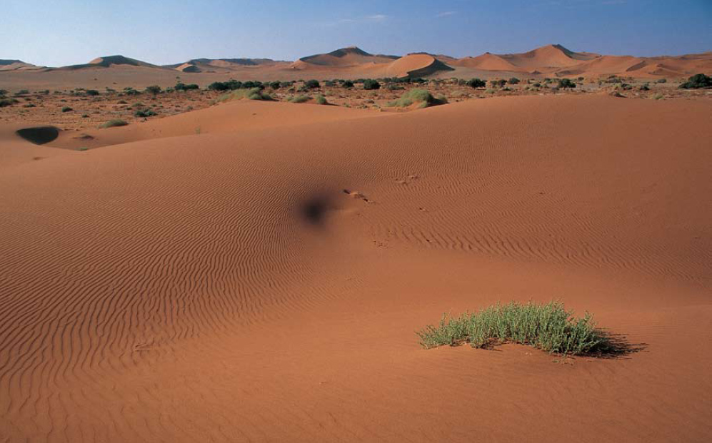 The wind has hollowed the fleeting shape of a navel in the sand at Sossusvlei - photo 3