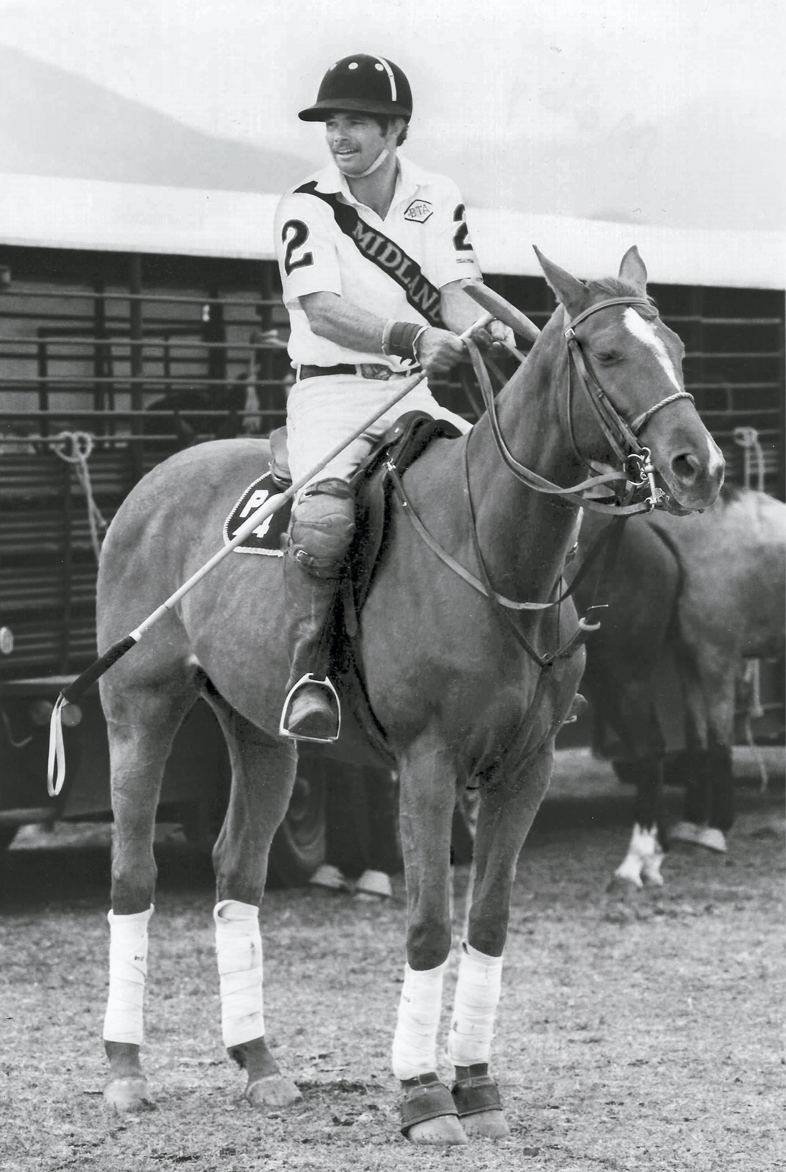 G rowing up my best friends had four legs and big ears My dad raised mules - photo 7