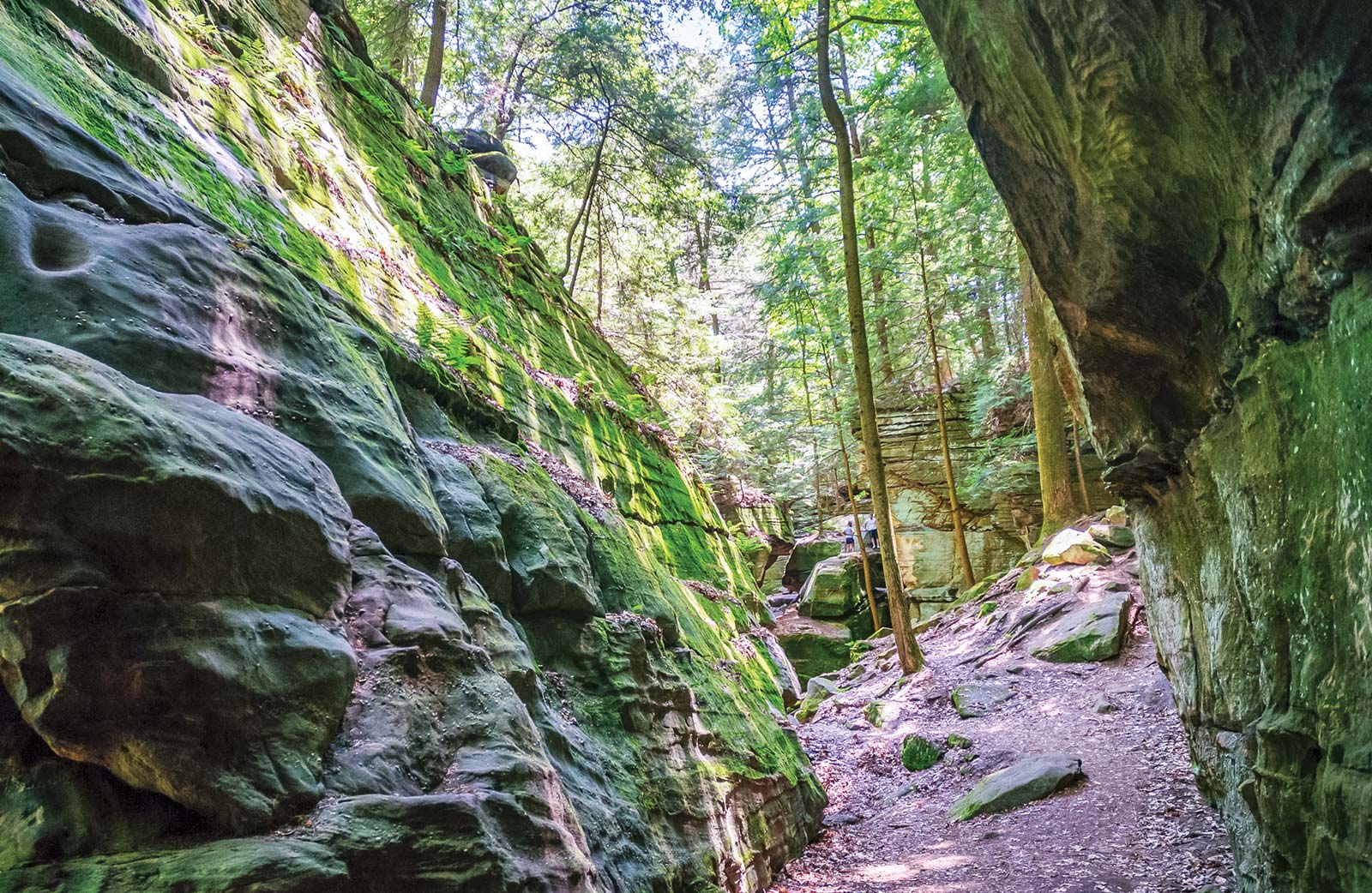 Ledges loop trail in Cuyahoga Valley National Park For families theres a lot - photo 10