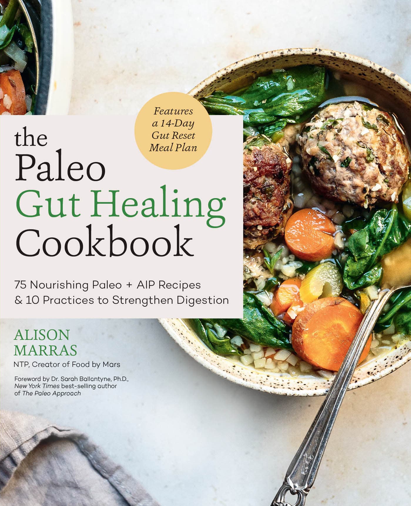 the Paleo Gut Healing Cookbook 75 Nourishing Paleo AIP-Friendly Recipes - photo 1