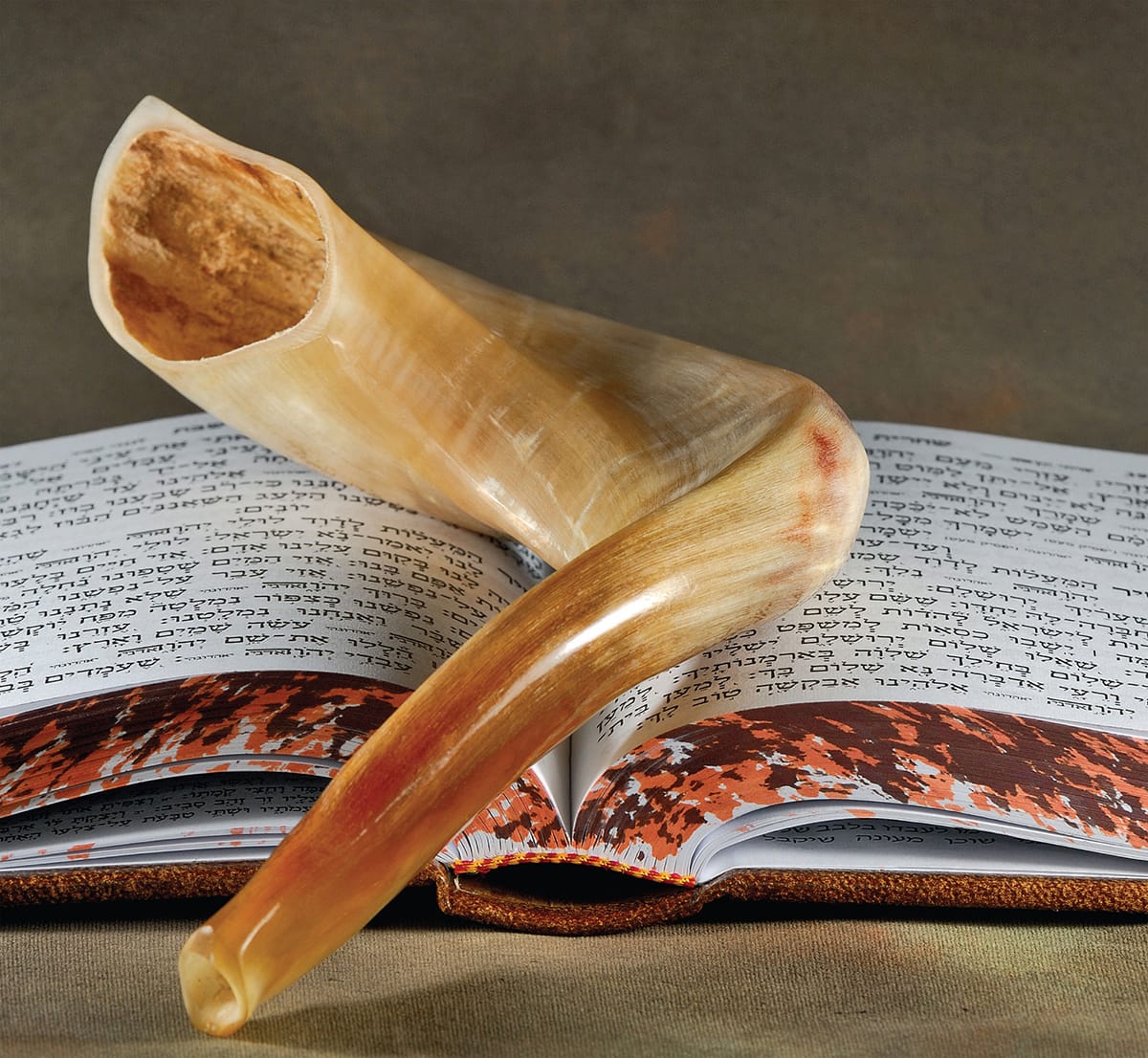 Goat horn has traditionally been used for musical instruments such as the - photo 10