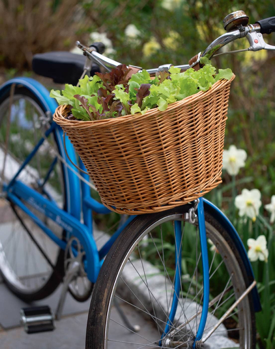 Repurposing items such as this bicycle basket can make for fun and creative - photo 4