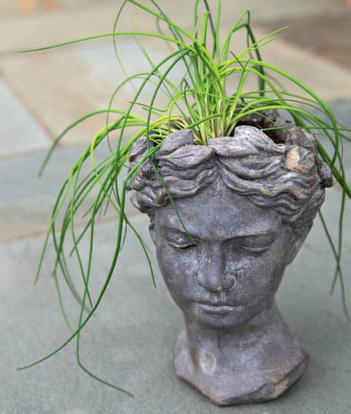 Decorative head planters not only take up little space but are whimsical - photo 10