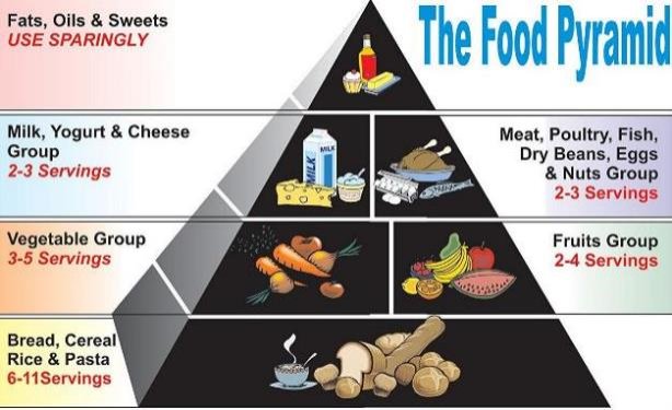 A ccording to the food pyramid we should consume 2-4 fruit servings and 3-5 - photo 14