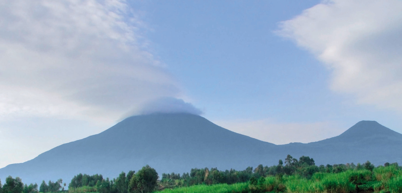 The rain forests of the Virunga Mountains are home to the endangered mountain - photo 3