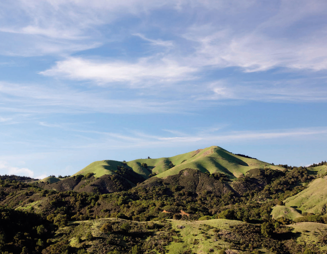 As an adult Dian visited her parents in California where she grew upShy and - photo 5