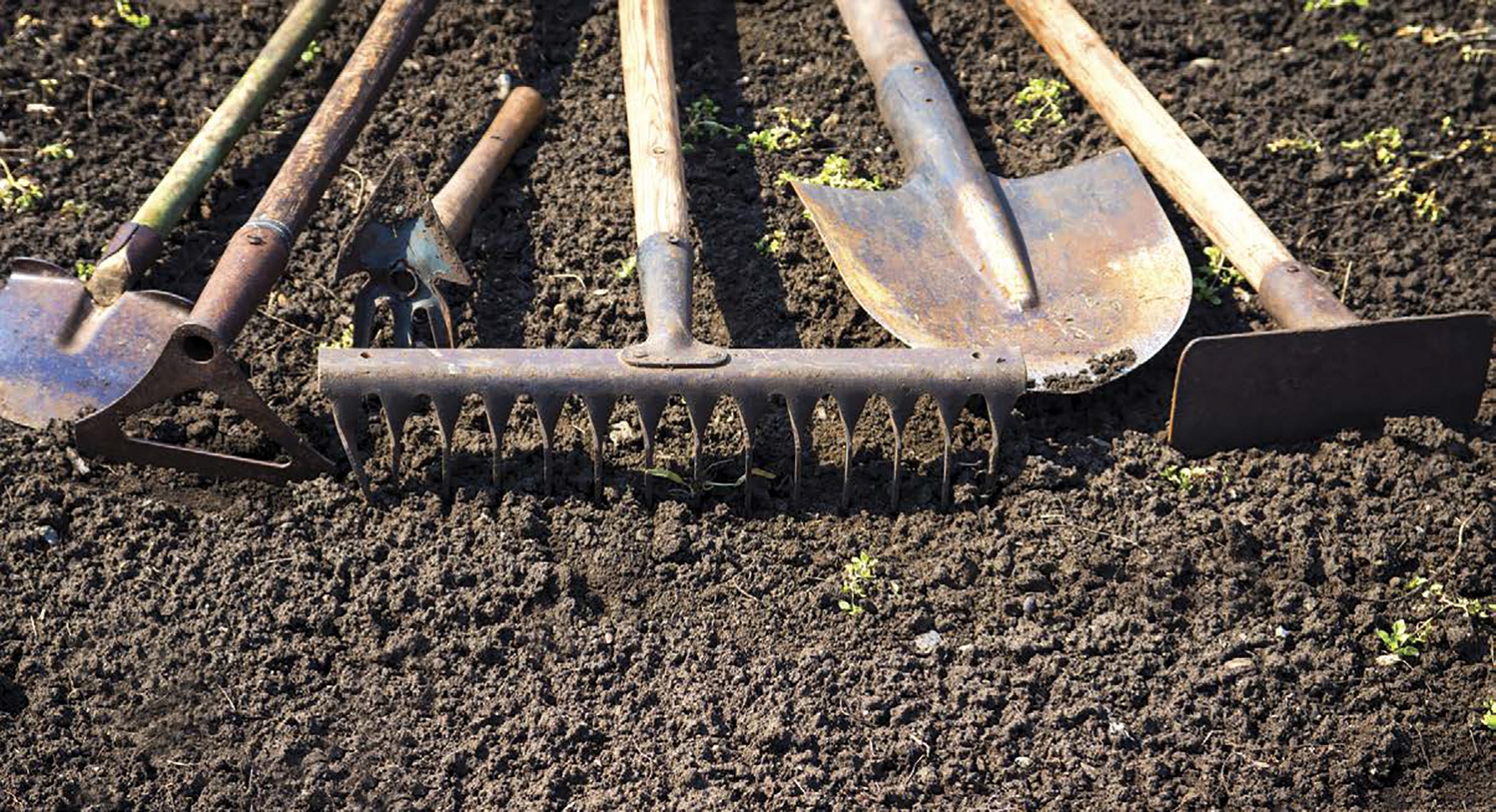 Soil preparation is one of the most important gardening steps GARDEN GUIDE - photo 7