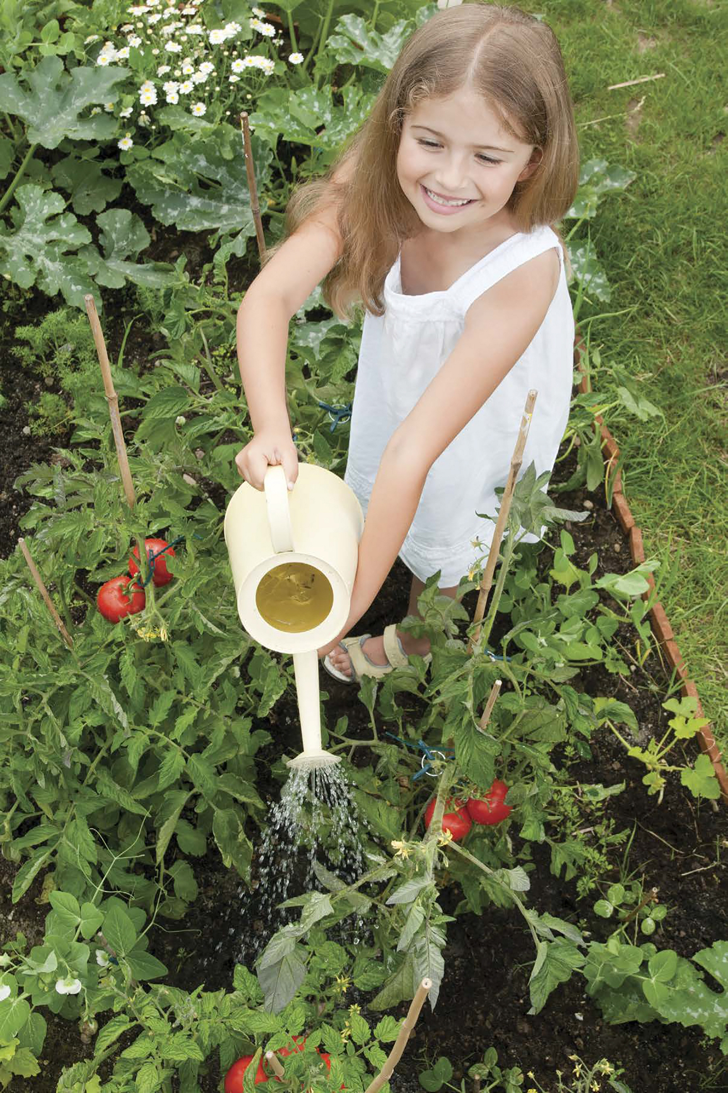 Many gardeners think vegetables are among the easiest plants to grow Growing - photo 2