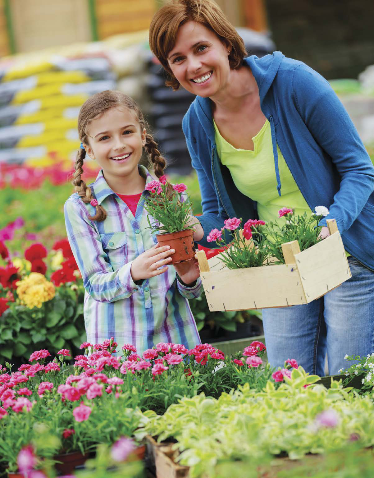 Its not always easy to grow flowers from seeds You can buy baby plants from - photo 10