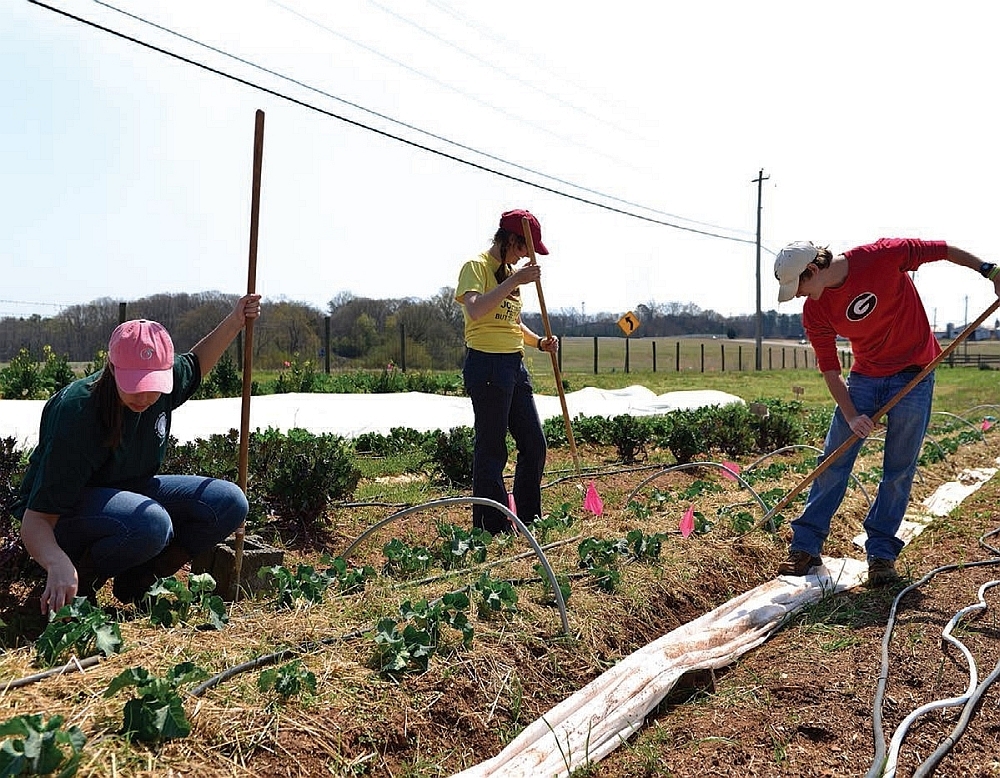 Teens in Athens Georgia work in a community garden The produce they grow is - photo 3