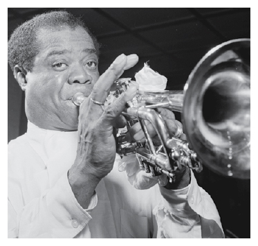 LOUIS ARMSTRONG 1901-1971 The Louis Armstrong Park was named after the famous - photo 22