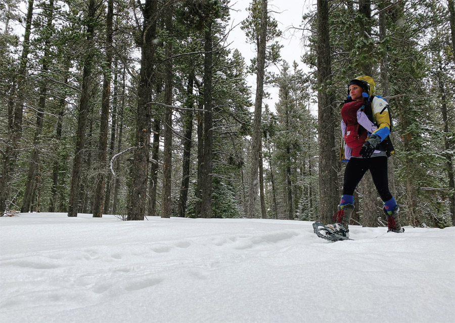 Lakes Loop Snowshoe Trail is marked with orange blazes those plastic diamonds - photo 5