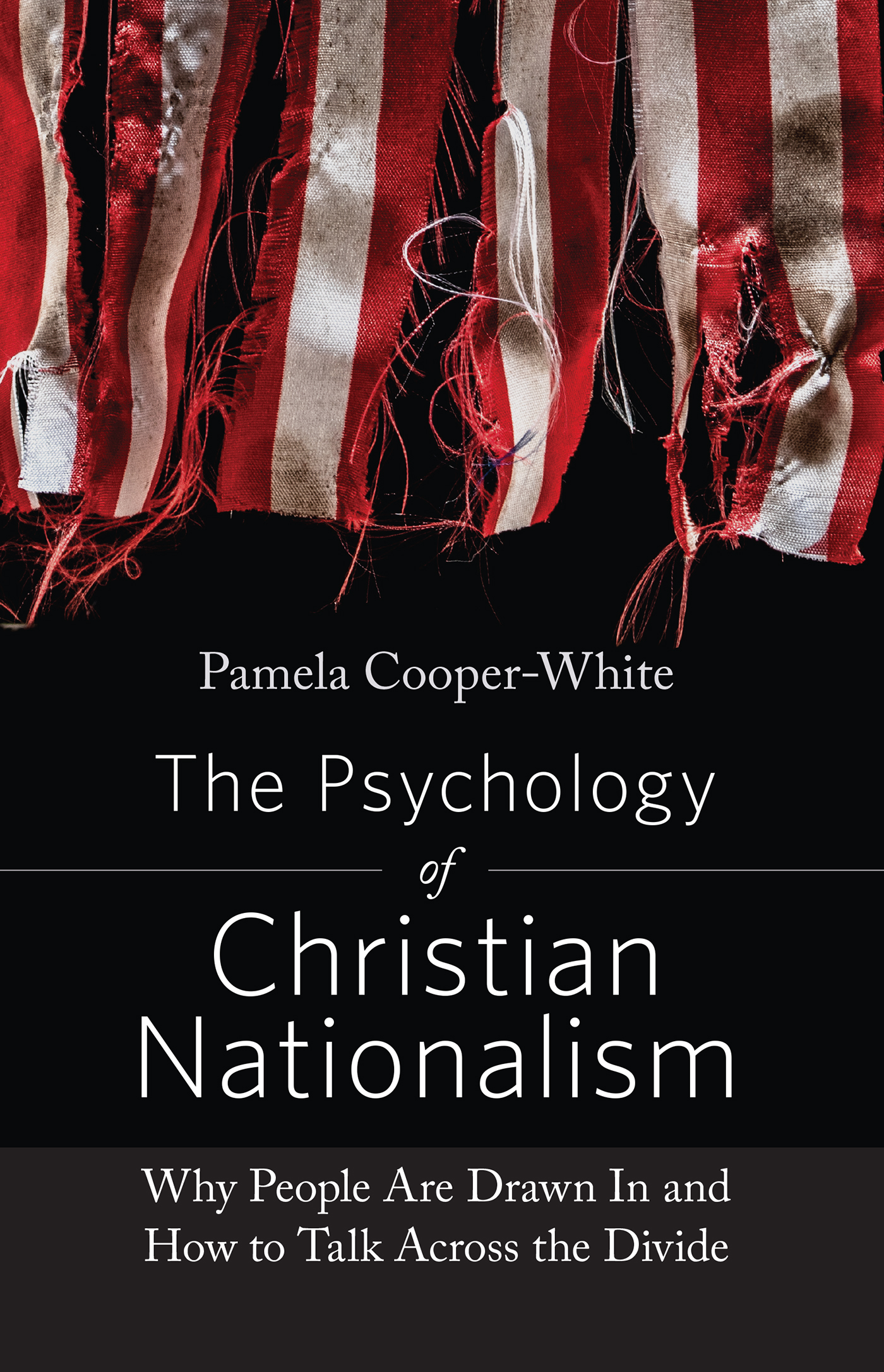 Praise for The Psychology of Christian Nationalism This timely book takes on - photo 1