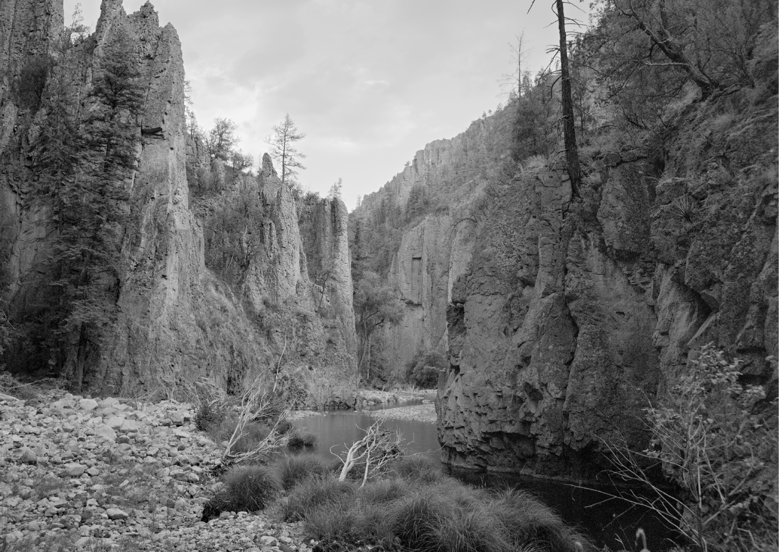 FIRST WILDEST THE GILA WILDERNESS AT 100 EDITED BY ELIZABETH HIGHTOWER - photo 3