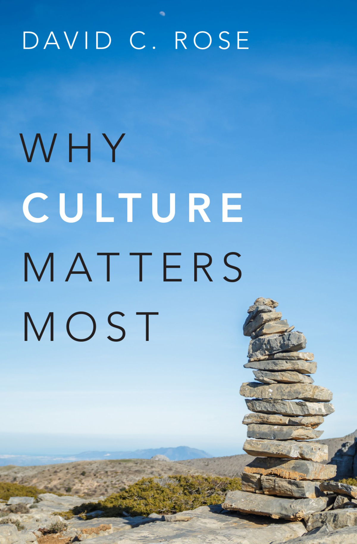 Why Culture Matters Most - image 1