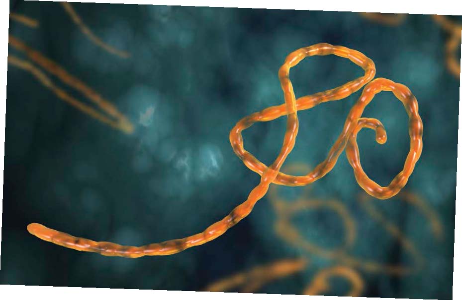 EBOLA DANGEROUSDENGUE Dengue is a disease caused by a virus you get from a - photo 6