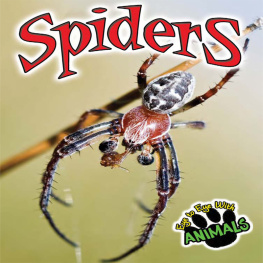 Don McCleese Spiders