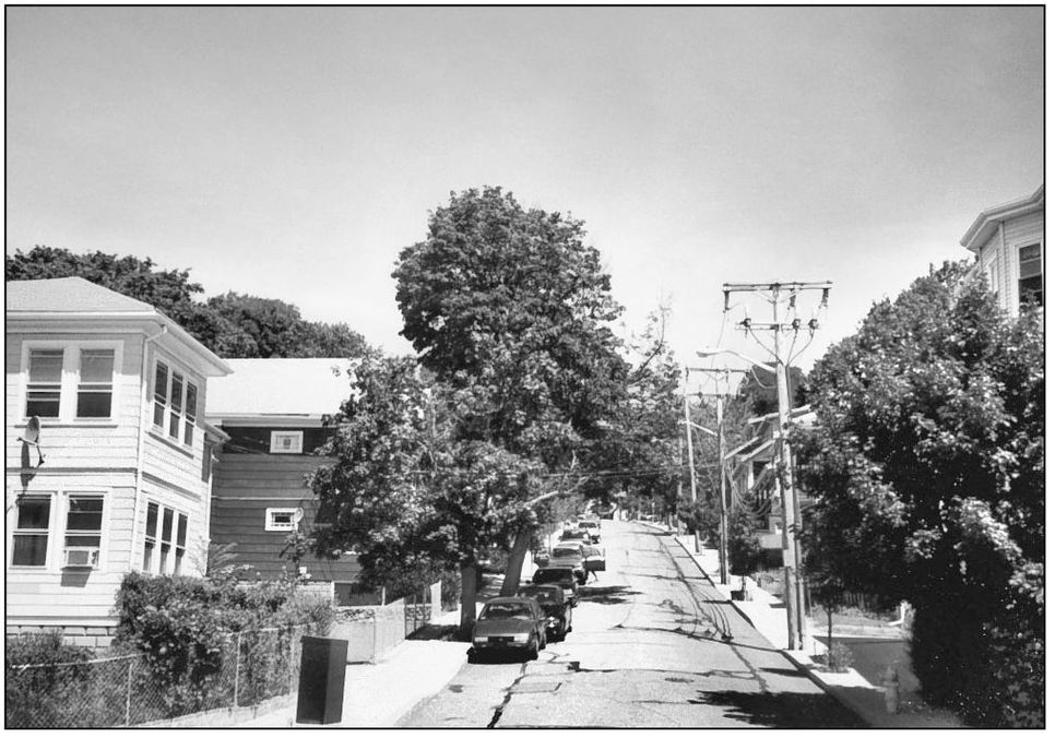 T he J W Gorman Boulevard Theatre was located on the corner of Fells Avenue - photo 14