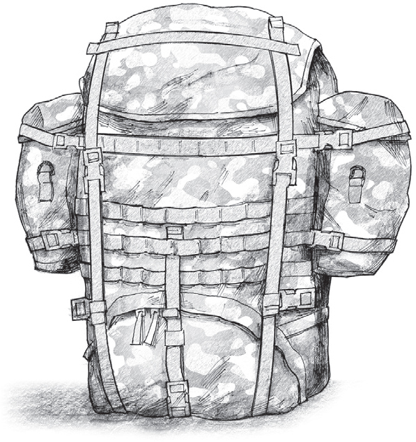 Many veterans continue to carry a ruck full of the same responses to pain that - photo 3