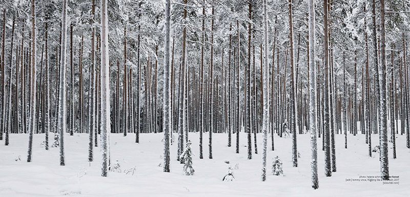 Mngfaldheten av innehllet i denna bok helt eller delvis r enligt Lag - photo 1