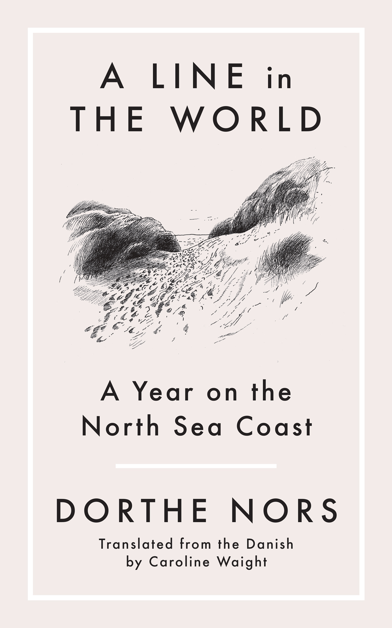 A LINE IN THE WORLD Also Available by Dorthe Nors in English Wild Swims - photo 1