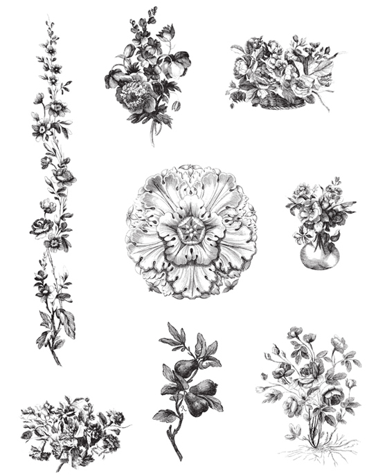 1001 Floral Motifs and Ornaments for Artists and Craftspeople - photo 10
