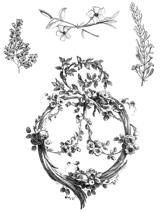 1001 Floral Motifs and Ornaments for Artists and Craftspeople - photo 13