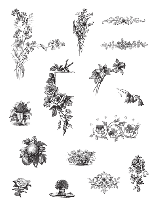 1001 Floral Motifs and Ornaments for Artists and Craftspeople - photo 23