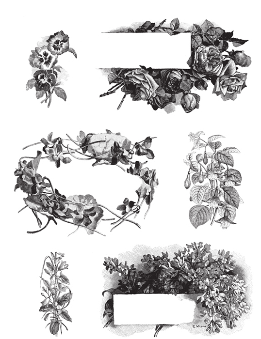 1001 Floral Motifs and Ornaments for Artists and Craftspeople - photo 39