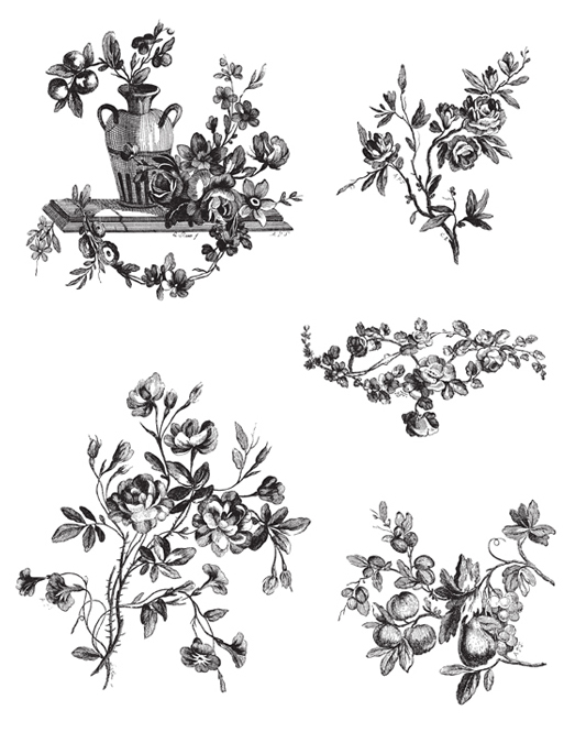 1001 Floral Motifs and Ornaments for Artists and Craftspeople - photo 3