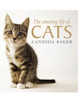 Candida Baker - The Amazing Life of Cats