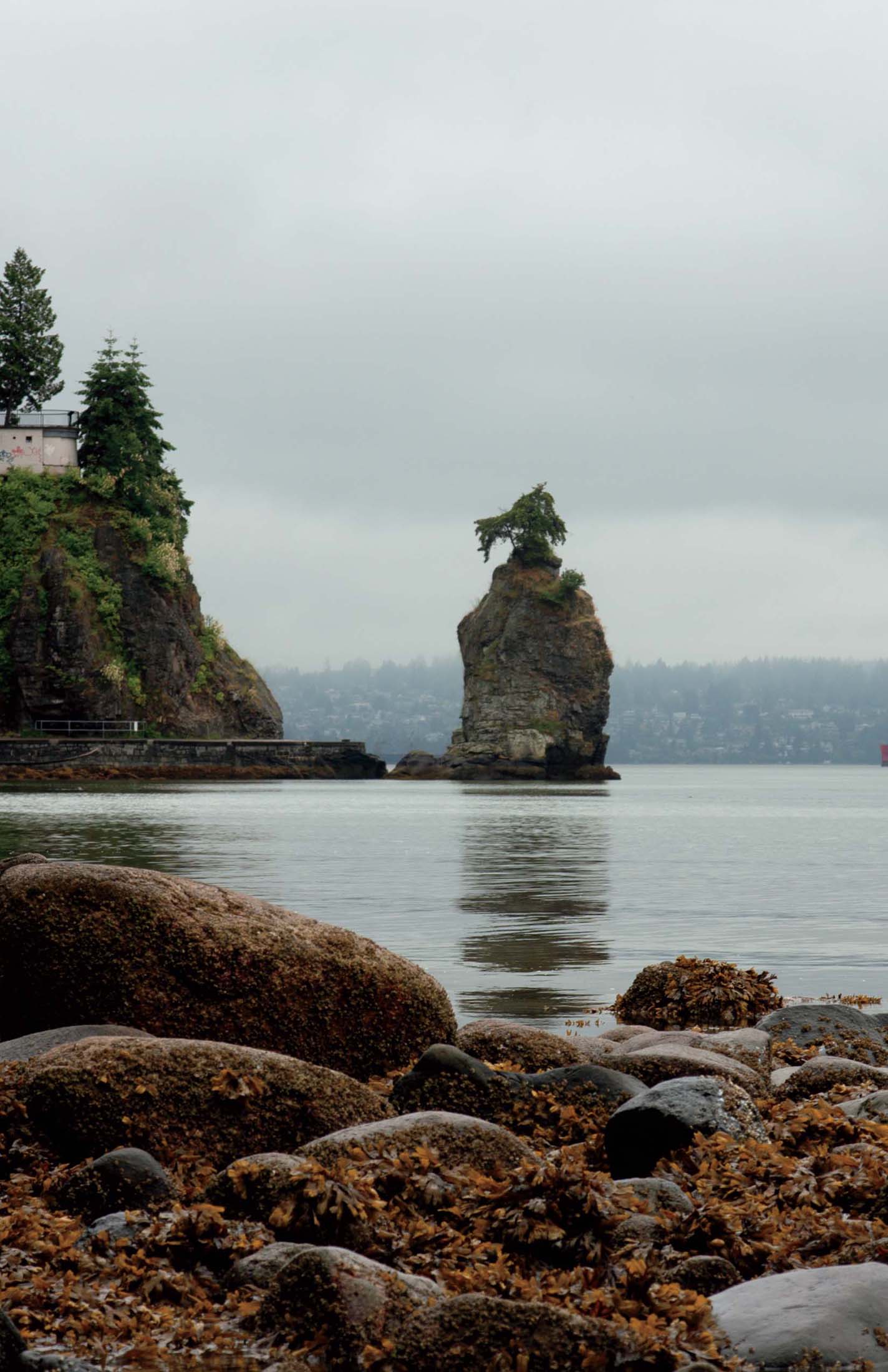 The Flora and Fauna of Stanley Park COLLIN VARNER Copyright 2022 Collin - photo 2