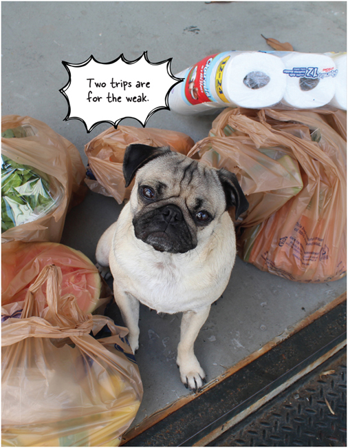 Doug the Pug The King of Pop Culture - photo 17