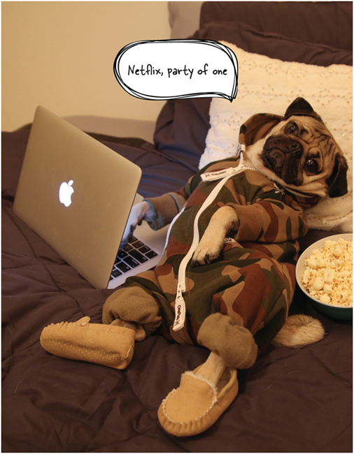 Doug the Pug The King of Pop Culture - photo 9