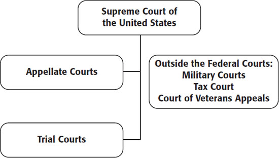 This so-called semantic map shows the connections between different conceptsin - photo 2